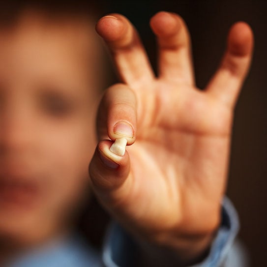 Baby Teeth Traditions in Other Cultures